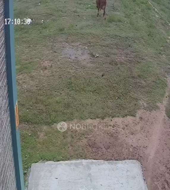 1 BHK Flat for Rent  In Sholinganallur