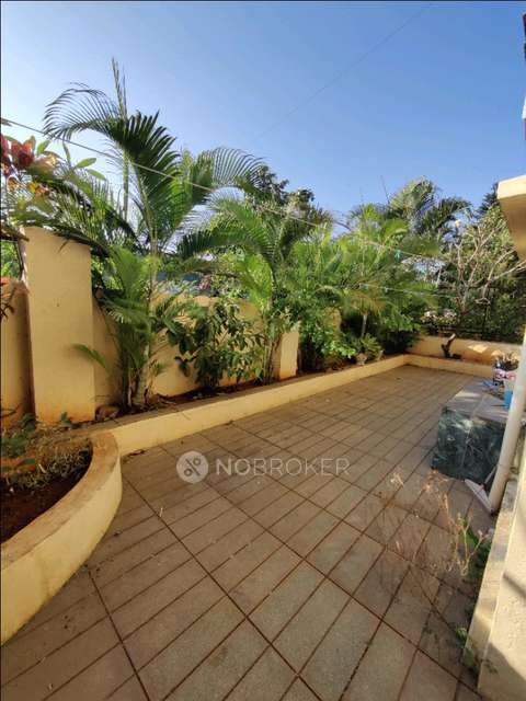 3 BHK Flat In Celesta Coperative Housing Society, Chikhali  for Rent  In 779c2, Jadhav Wadi Phata, Hargude Vasti, Chikhali, Pimpri Chinchwad, Pimpri-chinchwad, Maharashtra 411062, India