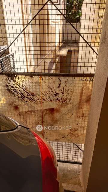 4+ BHK House For Sale  In Doctors Colony