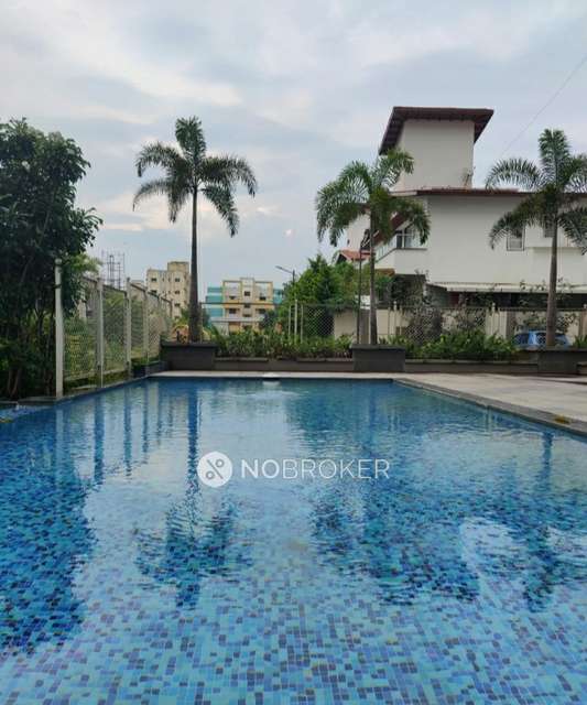 2 BHK Flat In Venice Co-op.housing Soc. Ltd. for Rent  In Dhayari