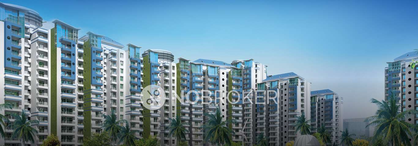 2 BHK Flat In Supertech Ecociti, Sector 137 for Rent  In Sector 137