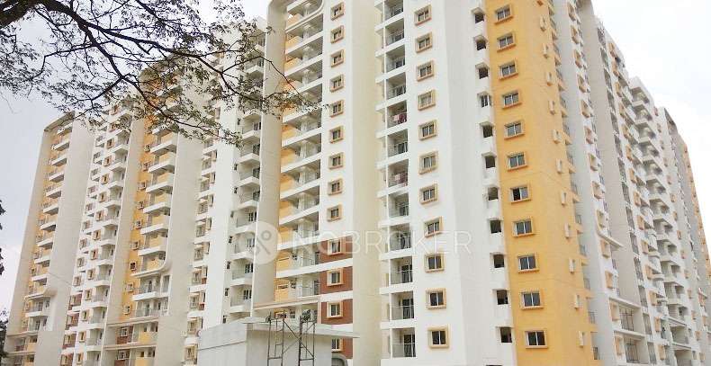 2 BHK Flat In Mjr Pearl for Rent  In Kadugodi