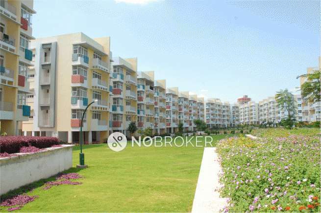 3 BHK Flat In Singapore Township for Rent In Annojiguda