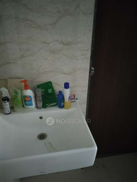 Single Room for Female In 2 BHK  In Shapoorji Pallonji Joyville Skyluxe In Hadapsar