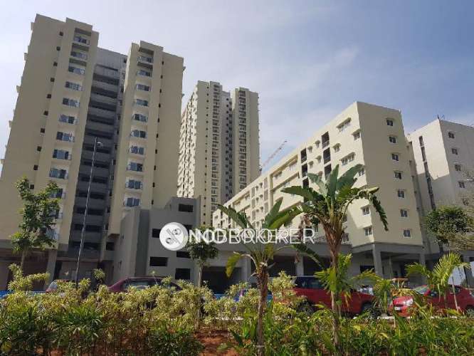 3 BHK Flat In Sobha Amethyst for Rent  In Kannamangala 