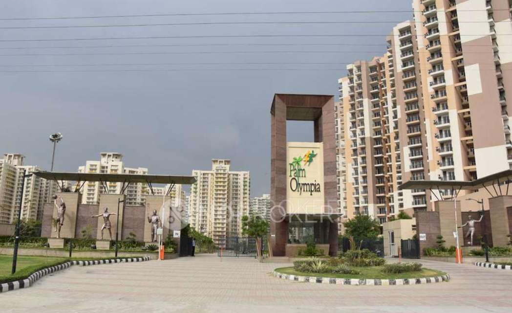 1 BHK Flat In Palm Olympia for Rent  In Sector 62