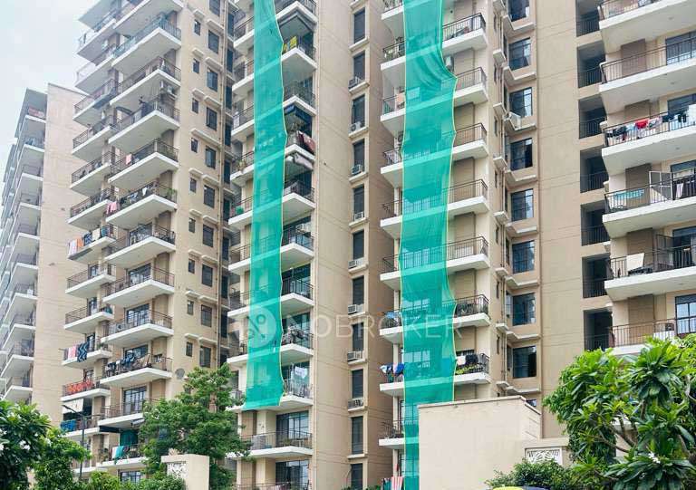 Single Room for Female In 2 BHK  In Signature Global Synera In Sector-81