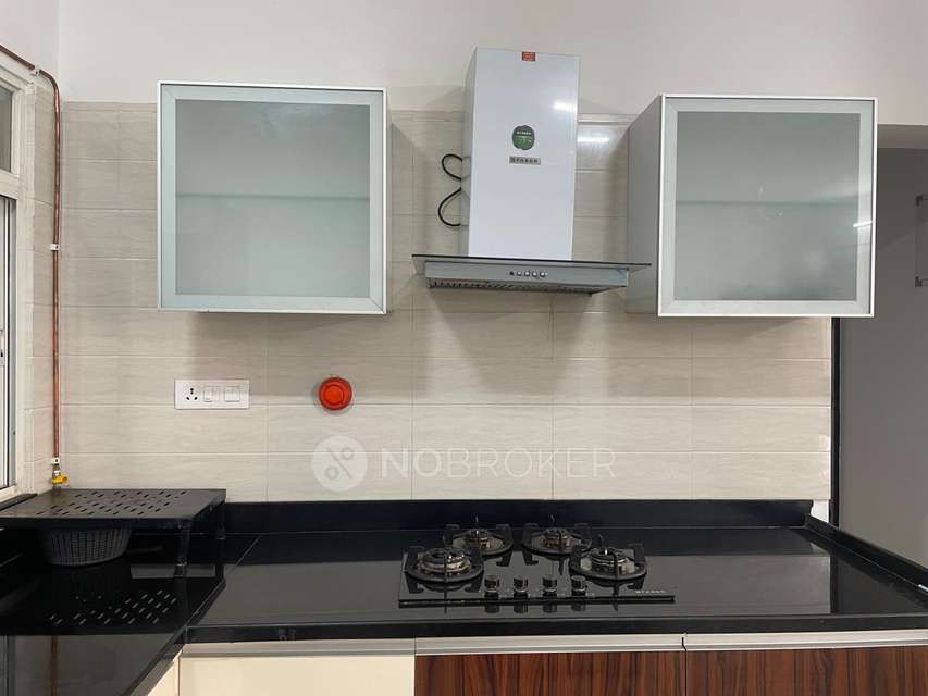 2 BHK Flat In Perfect 10 for Rent  In Perfect 10