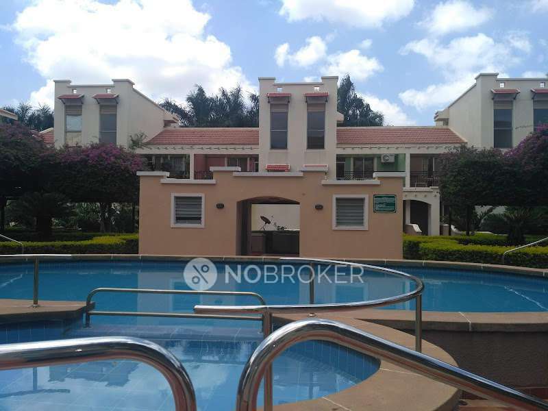 3 BHK Flat In Prestige Langleigh for Rent  In Whitefield