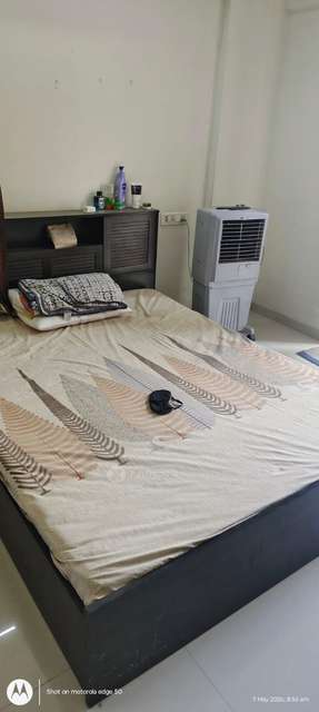 2 BHK Flat In Erica for Rent  In Wakadkar 