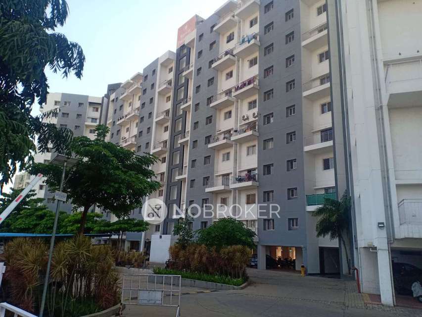 2 BHK Flat In Kumar Palmcrest for Rent  In Block-a3, Kumar Palmcrest, ??????? ???, ?????? ???????, ????, ?????????? 411048, India