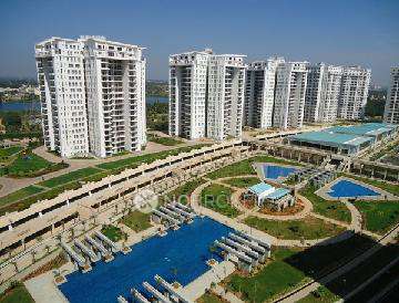 3 BHK Flat In Definer Kingdom for Rent In Bommenahalli