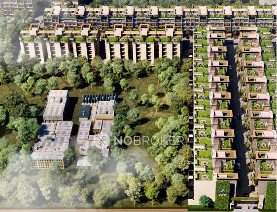 4+ BHK Flat In Orchid Ivy For Sale  In Sector 51