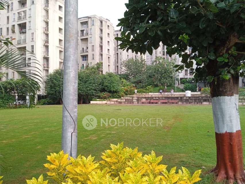 2 BHK Flat In Hinjawadi Phase 1 for Rent  In Hinjawadi