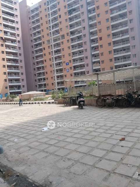 PG for Girls in  Ashok Vihar