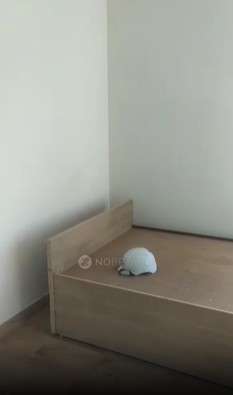 3 BHK Flat In Jaypee Greens Pavillion Heights, Sector 128 for Rent  In Sector 128