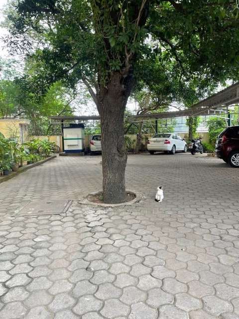 3 BHK Flat In Riverdale Apartment  For Sale  In Harrington Road