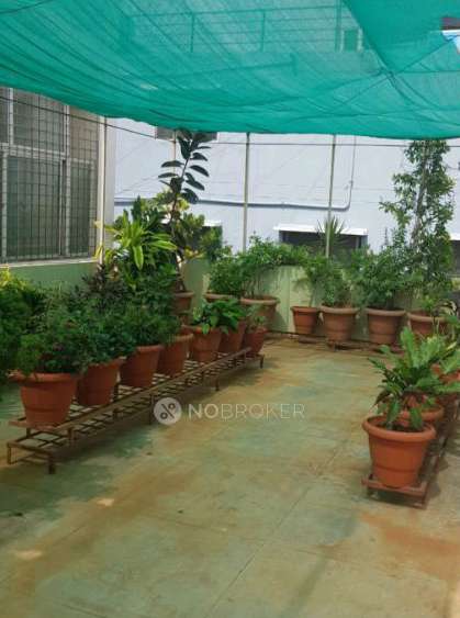 3 BHK House For Sale  In Bikasipura