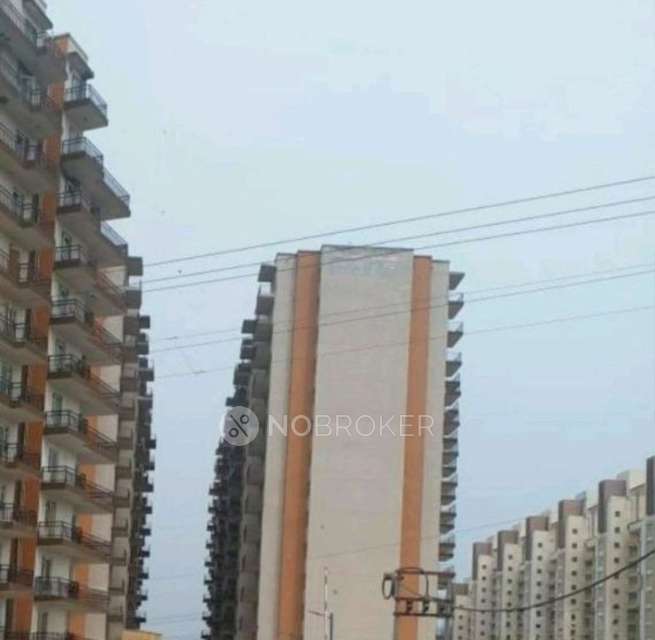 3 BHK Flat In Rof Aalayas Phase 2 for Rent  In Sector 102