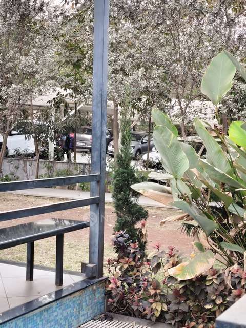 2 BHK Flat In Mango One Society for Rent  In Hadapsar