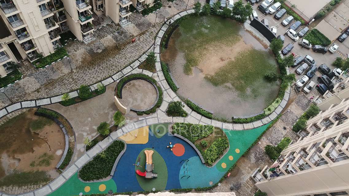 2 BHK Flat In Signature Global The Millennia for Rent  In  Sector 37d, Gurgaon