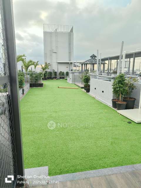 2 BHK Flat In Legacy Ilife for Rent  In Ilife Upper Nibm Sales Office