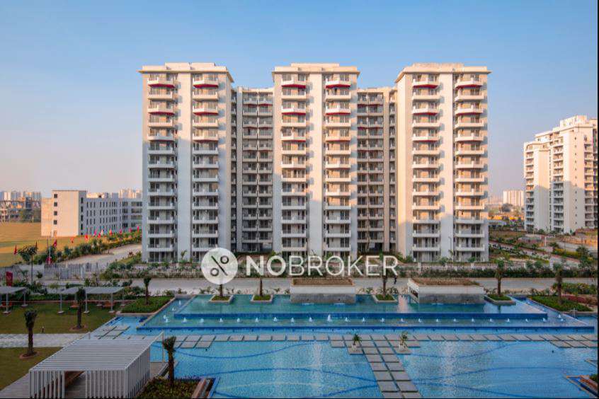 3 BHK Flat In Anant Raj Maceo for Rent  In Sector 91