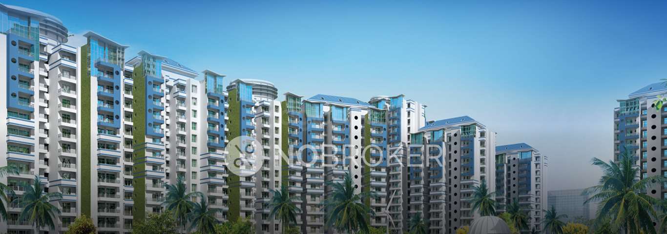 2 BHK Flat In Supertech Ecociti  for Rent  In Sector 137