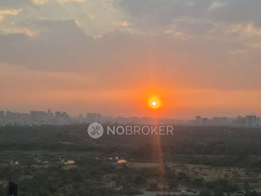 2 BHK Flat In Godrej Boulevard for Rent  In Kharadi