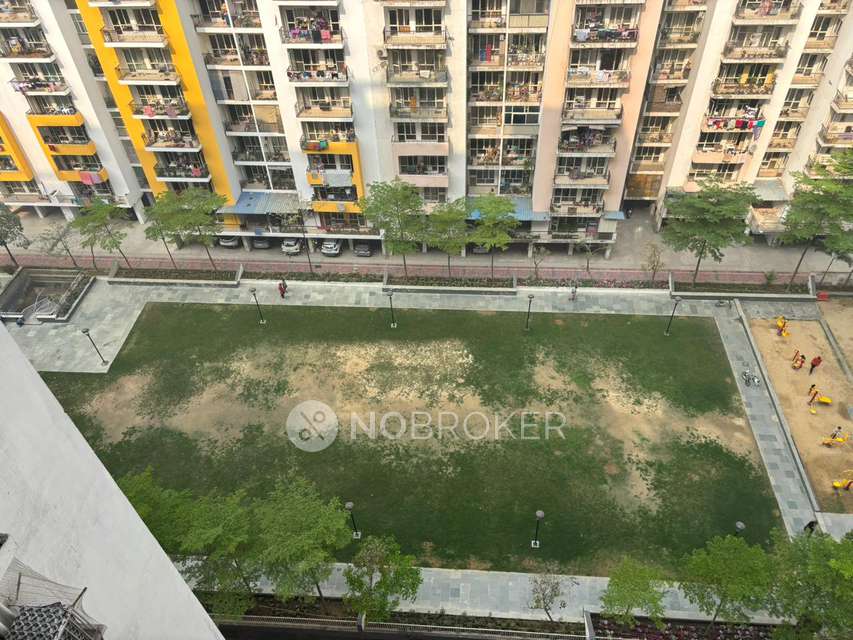 Single Room for Male In 3 BHK  In Panchsheel Greens 1 In Sector 16 B