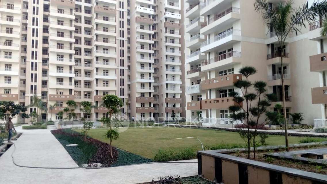 Single Room for Female In 2 BHK  In Royal Nest Apartments, Bisrakh Road In Bisrakh Road