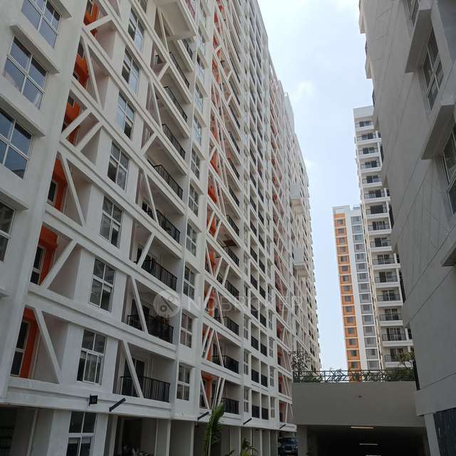 3 BHK Flat In K Town for Rent  In K Town