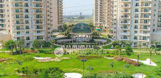 3 BHK Flat In Ace Golfshire for Rent  In Sector 150