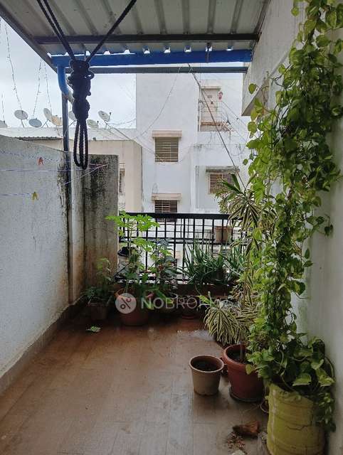 2 BHK Flat In Yash Wisteria for Rent  In Pimpri-chinchwad