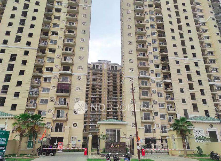 Single Room for Male In 2 BHK  In Ats Le Grandiose In Sector 150