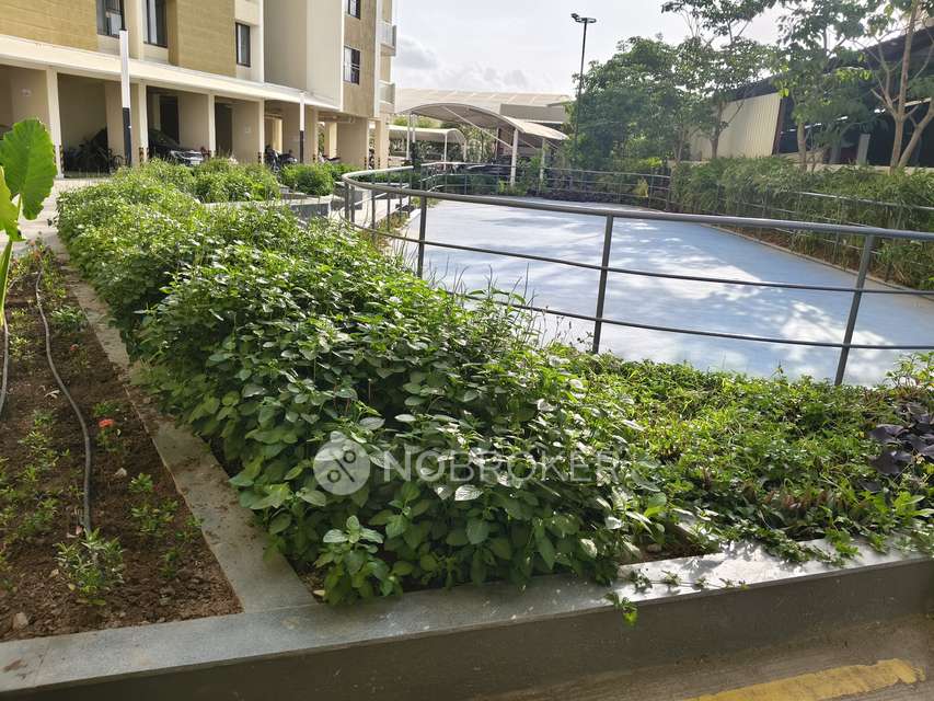 3 BHK Flat In Kohinoor Courtyard One for Rent In Wakad