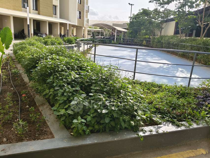 3 BHK Flat In Kohinoor Courtyard One for Rent In Wakad