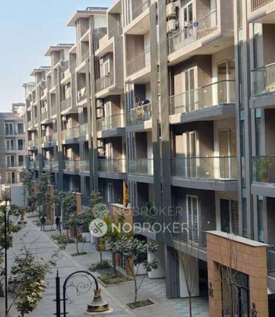 3 BHK Flat In Smart World Gems for Rent  In Sector 89