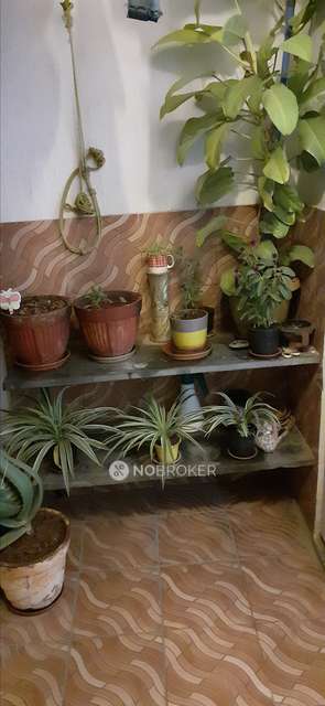 3 BHK Flat In Sai Govind Residence For Sale  In Hennur Gardens