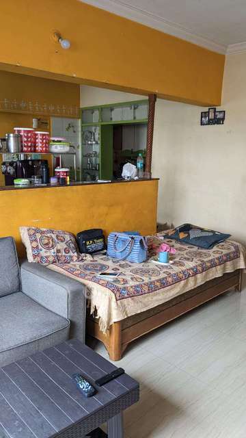 1 BHK Flat In Bhansali Akshay Chandan for Rent  In Pune