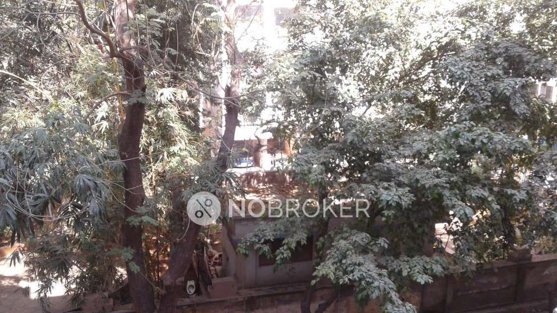 1 BHK Flat In Raj Satyam Chs For Sale  In Dahisar East