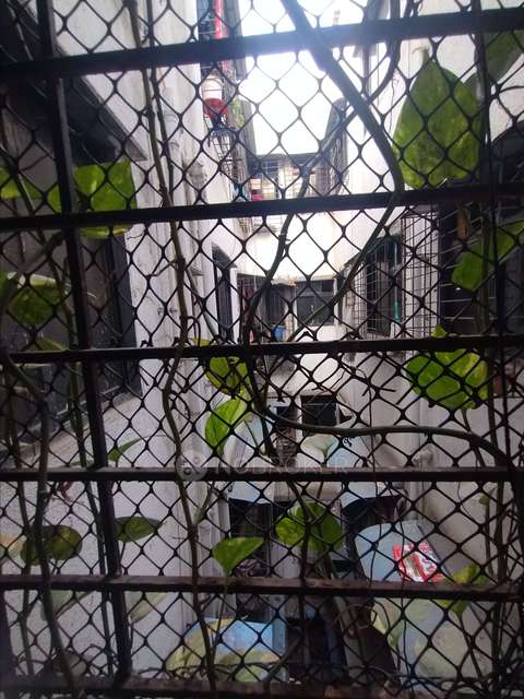 1 BHK Flat In Shankar Apartment For Sale  In 8, Sector 30d, Gothivali Village, Sector 30, Ghansoli, Navi Mumbai, Maharashtra 400701, India