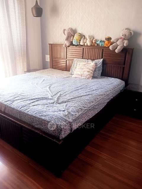 1 BHK Flat In Sai Paradise for Rent  In Tathawade