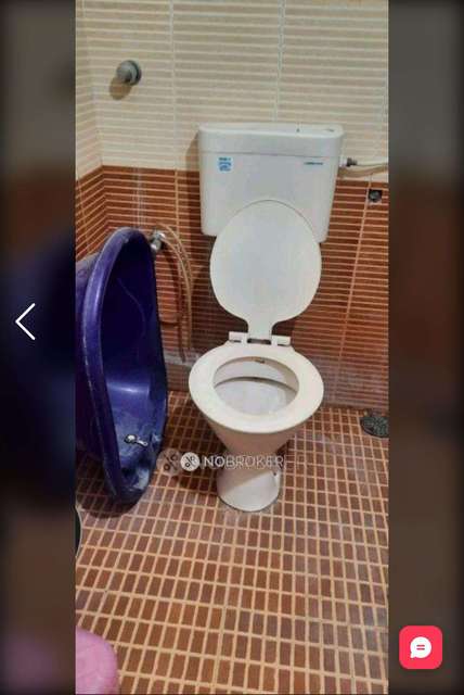 1 BHK Flat In Daffodils, Pimple Saudagar for Rent  In Pimple Saudagar