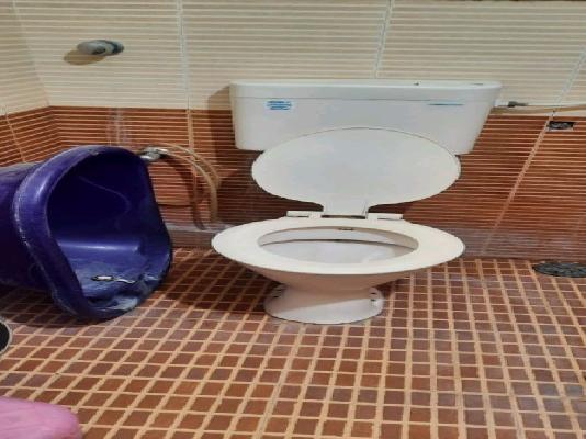 1 BHK Flat In Daffodils, Pimple Saudagar for Rent  In Pimple Saudagar