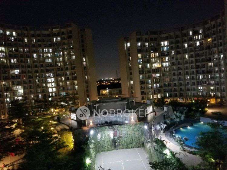 2 BHK Flat In Elementa Phase 1 Chs for Rent  In Tathawade 