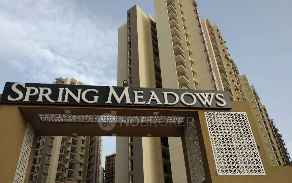 4 BHK Flat In Pigeon Spring Meadows for Rent  In Patwari