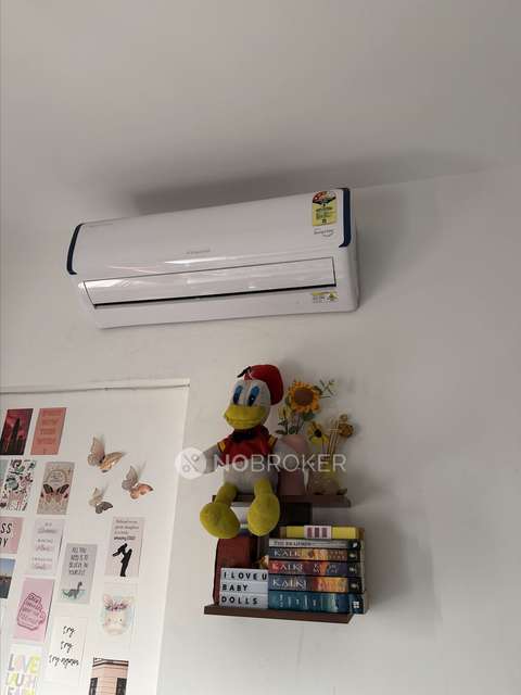 Single Room for Female In 2 BHK  In Venkatesh Graffiti Elan In Godbole Vasti