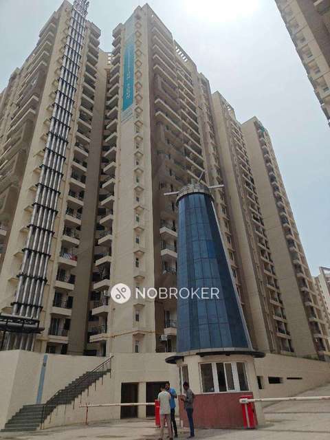 2 BHK Flat In Amrapali Golf Home for Rent  In Sector 150