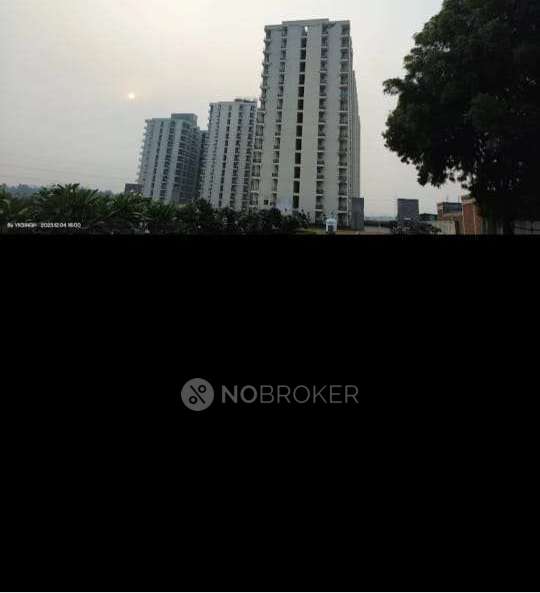 2 BHK Flat In Mvn The Athens for Rent  In Sector 48